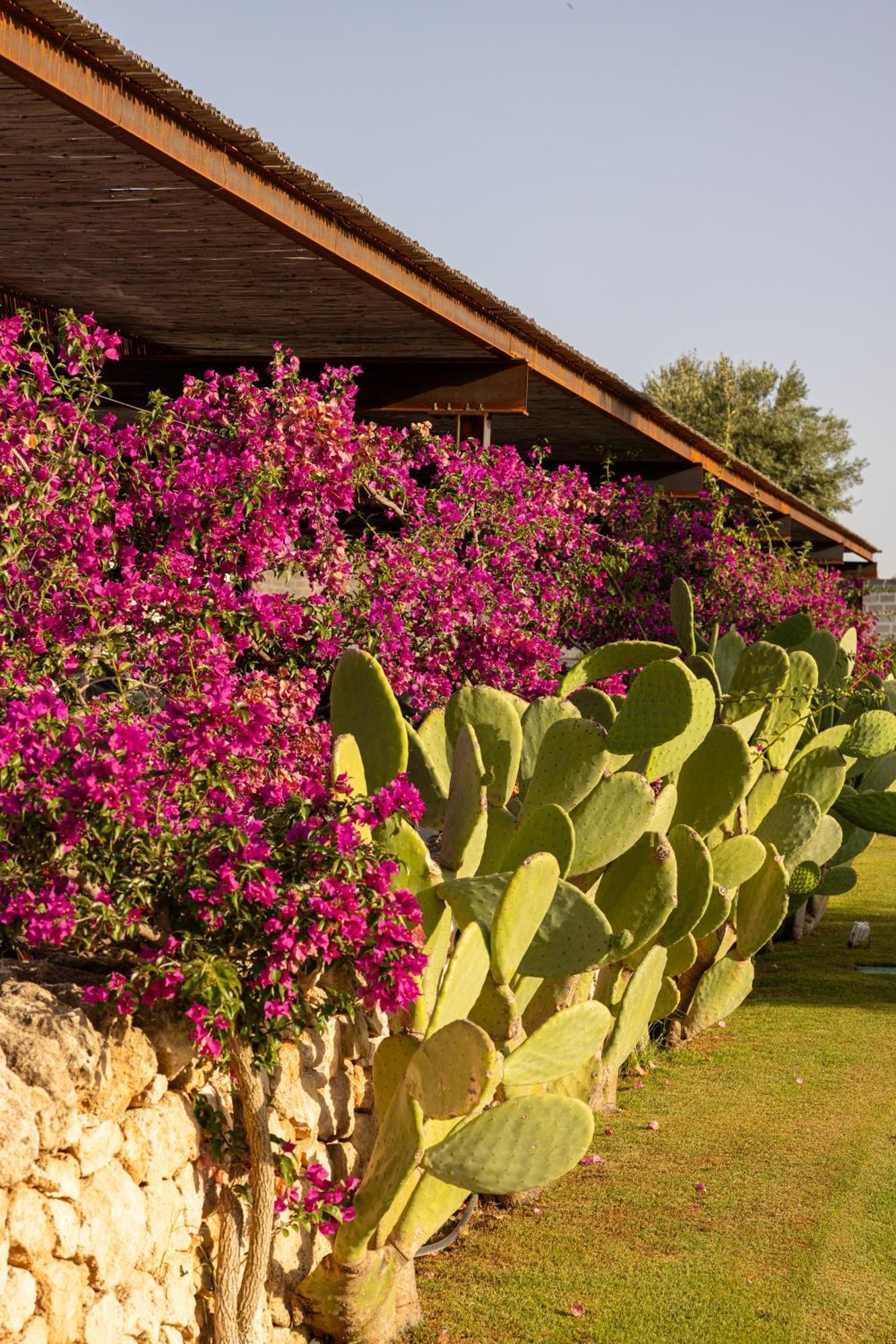 Masseria San Francesco Savelletri Bagian luar foto