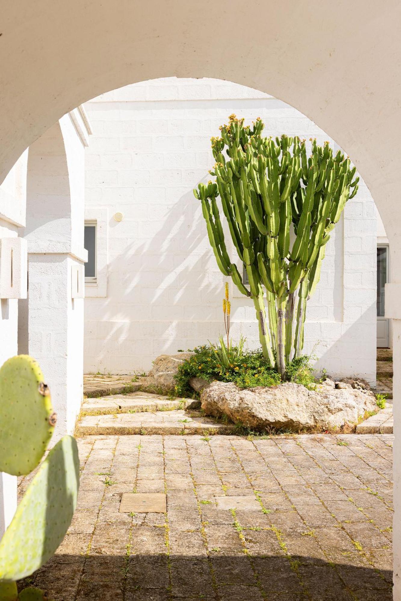 Masseria San Francesco Savelletri Bagian luar foto